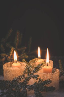 Yeni yıl geçmişi. Karda köknar ağacı yanan Noel mumları