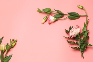 Pembe arka planda narin çiçeklerin minimalist konsepti