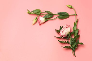 Pembe arka planda narin çiçeklerin minimalist konsepti