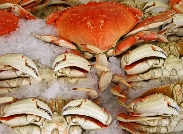 Crab on ice — Stock Photo, Image