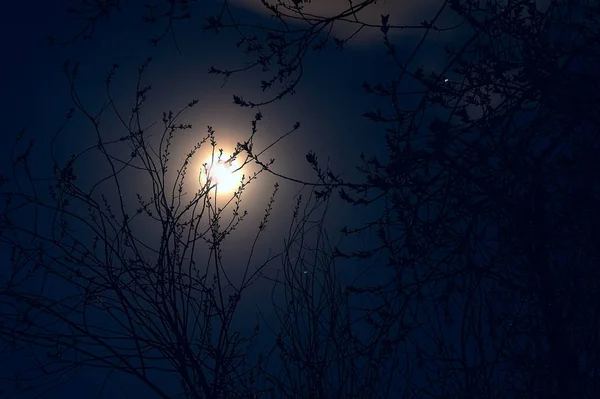 Full moon-májusban - telihold az éjszakai égre és a sziluettek — Stock Fotó