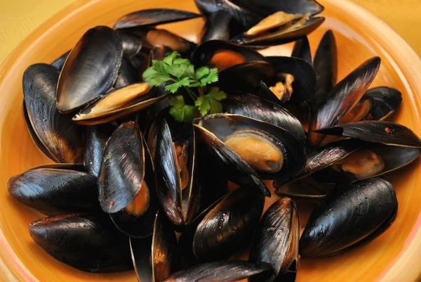 Plate of Mussels Garnished with Parsley — Stock Photo, Image
