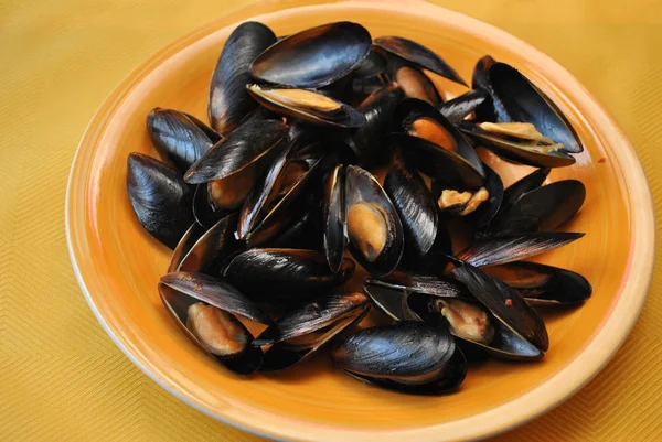 Mussels Served on a Dish Royalty Free Stock Photos