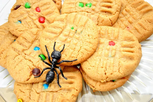 Galletas de mantequilla de maní con una hormiga negra de juguete —  Fotos de Stock