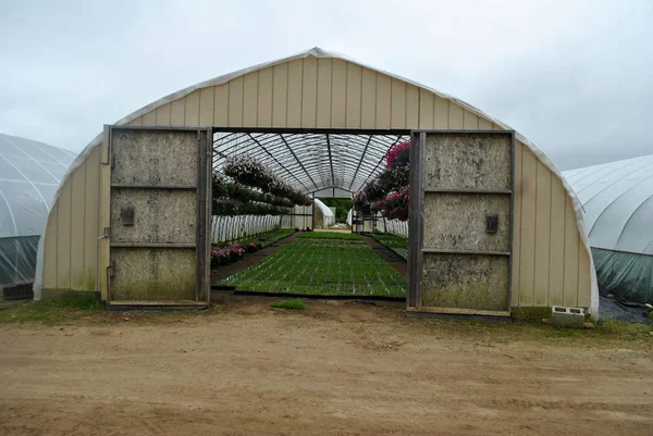 A Large Greenhouse on a Cloudy Spring Day — Stock Photo, Image