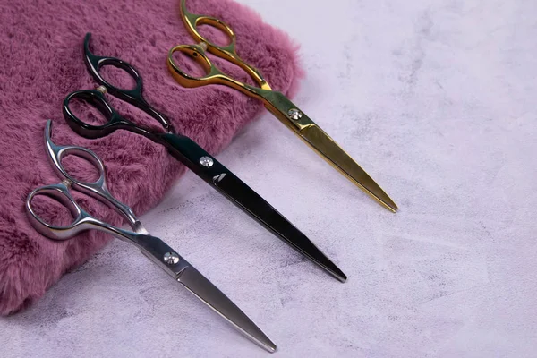 A set of scissors for a haircut and a black dew on a beautiful pink notebook that stands on a concrete background. — Stock Photo, Image