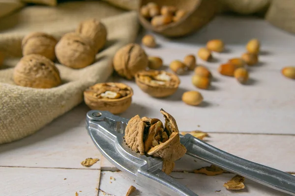 Walnüsse Einer Holzkiste Neben Einer Haselnuss Einer Kokosnussschale Nüsse Verstreut — Stockfoto