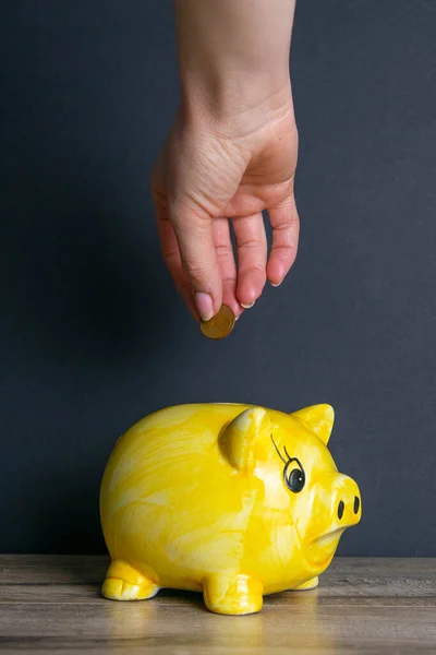 Hand tosses coin into yellow piggy bank, piggy bank is on a stack of books.