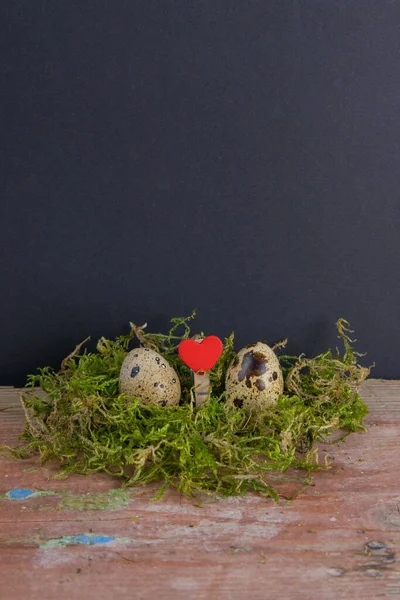 Dwa Przepiórki Serce Między Nimi Stoją Zielonej Puszce Koncepcja Wielkanocna — Zdjęcie stockowe
