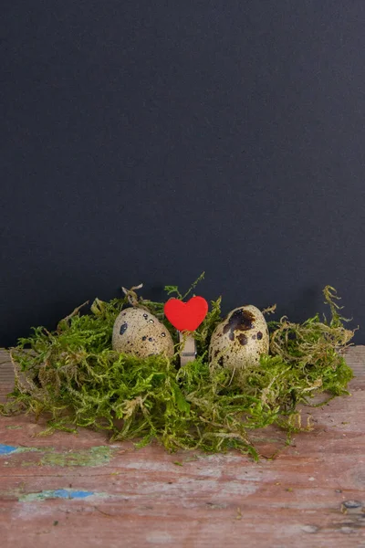 Dwa Przepiórki Serce Między Nimi Stoją Zielonej Puszce Koncepcja Wielkanocna — Zdjęcie stockowe