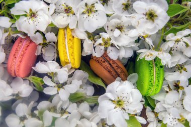 Çiçekli bir elma ağacının bahar dalları beyaz çiçekler ve kırsal ahşap arka planda badem kurabiyeleri, yakın plan..