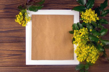 Sarı kağıt boş, çiçekler, okaliptüs dalları ahşap arka planda. Düz konum, üst görünüm, kopyalama alanı, kare.