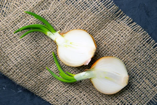 Onion Cut Half Stands Burlap Top Views — Stock Photo, Image