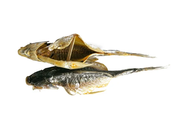 Сушеные Соленые Распятые Рыбы Изолированы Белом Фоне Закуска Пиву — стоковое фото