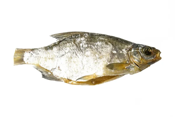 Gedroogde Brasem Een Witte Achtergrond Snack Fish Aan Bier Sluiten — Stockfoto