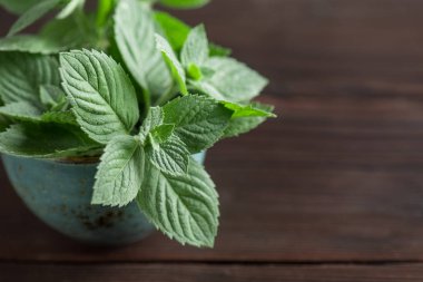 Dal nane kopya alanı ile ahşap bir masa üzerinde bir fincan