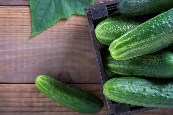 Komkommers Close Een Houten Kist Een Oude Houten Tafel Met — Stockfoto