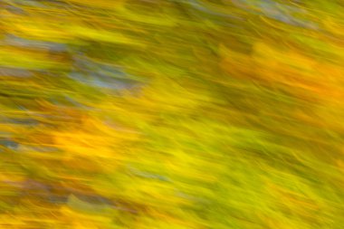 bulanık hareket sonbahar arka plan 