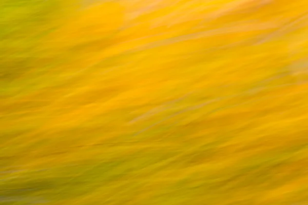 Blurred motion fall background — Stock Photo, Image