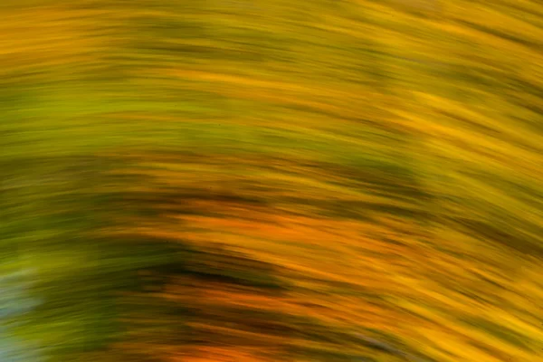 Bulanık hareket sonbahar arka plan — Stok fotoğraf
