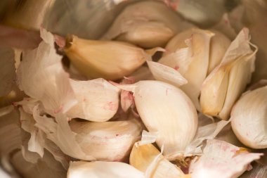 portre için diş sarımsak