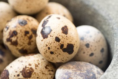 bıldırcın yumurtası tablo 