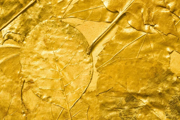 Gouden herfstbladeren geschilderde achtergrond — Stockfoto