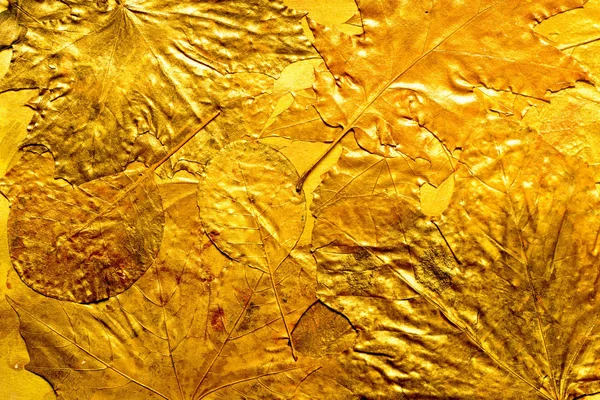 Oro pintado otoño hojas fondo —  Fotos de Stock