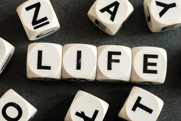 word life on toy cubes