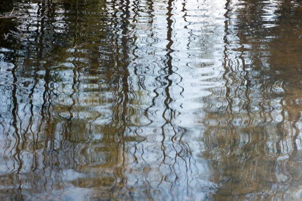 Träd reflektion på vatten — Stockfoto