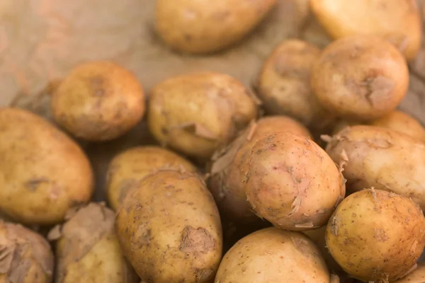 Organic raw potatoes — Stock Photo, Image