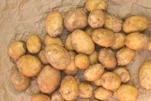 Organic raw potatoes — Stock Photo, Image