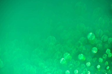 yeşil arka plan bulanık doku bokeh ile defocused 