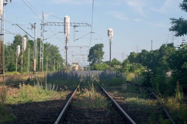 nowere için izlemek