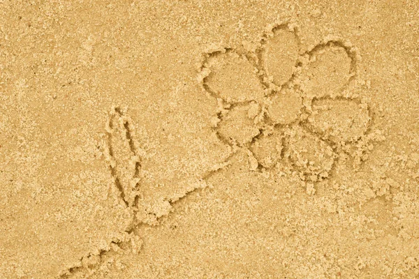 Desenho de flor em areia — Fotografia de Stock
