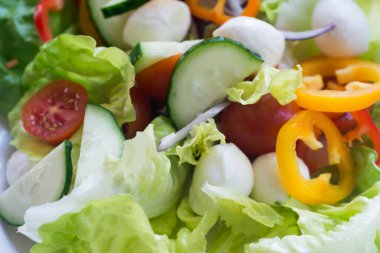 taze marul salata seçici odak