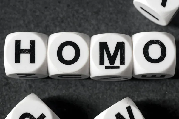 Word homo on toy cubes — Stock Photo, Image