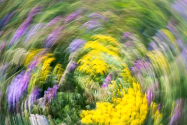 ufuk renkli doğa arka plan 