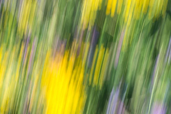 Defocused colorful nature background — Stock Photo, Image