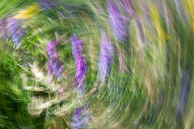 ufuk renkli doğa arka plan 