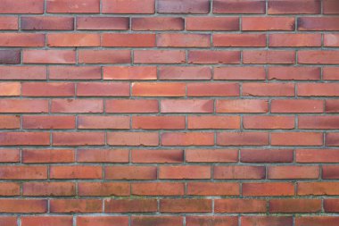 Kırmızı brickwall arka plan dokusu 