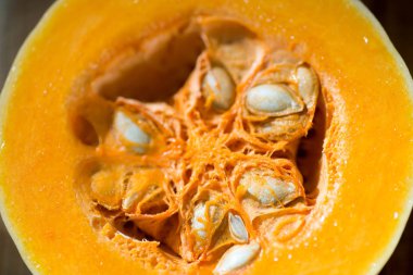 kabak (Cucurbita moschata) kesit 