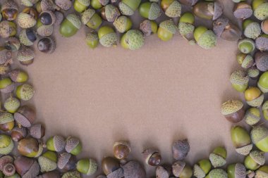 kahverengi kağıt üzerine düşen meşe palamutları 