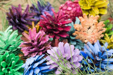 çam kozalakları Noel dekorasyon boyalı