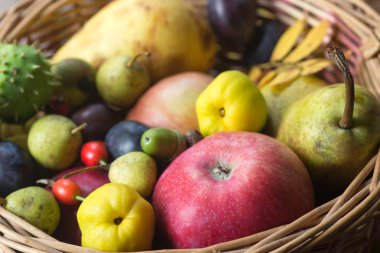 sonbahar meyve sepeti natürmort 