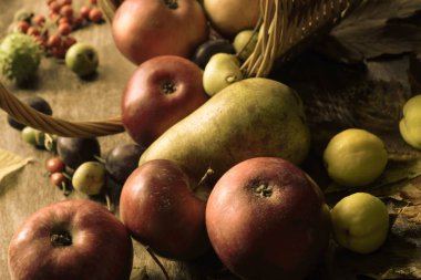 sonbahar meyve üzerinde masa natürmort 