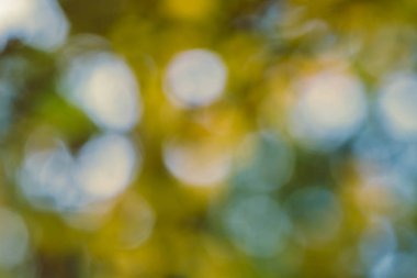 arka plan bulanık doğa düşmek 