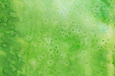Beyaz Kağıt arka plan dokusu üzerinde yeşil suluboya resim