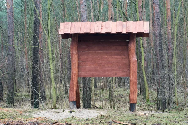 Wooden information board in forest — Stock Photo, Image