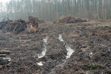 toprak yol ile su birikintileri 